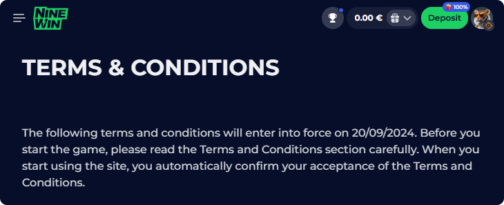 NineWin Casino Terms & Conditions